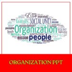 Organization PPT