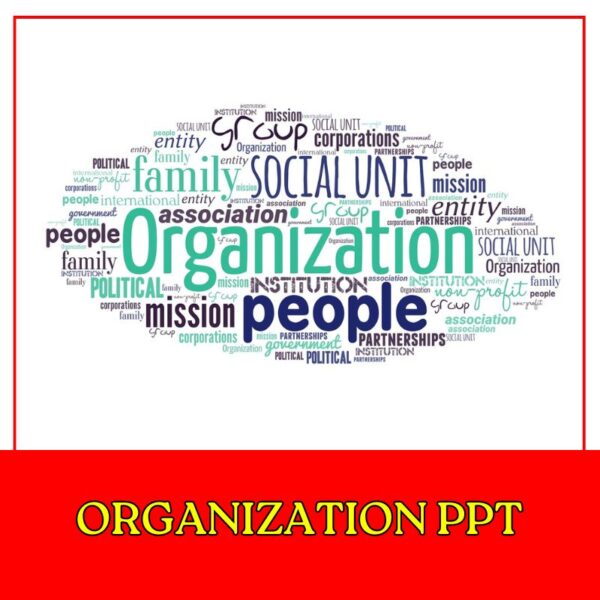 Organization PPT